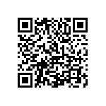 1111Y2K03P30BQT QRCode