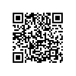 1111Y2K03P60DQT QRCode