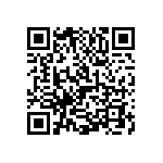 1111Y2K04P00BQT QRCode