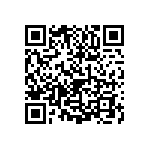 1111Y3000101KQT QRCode