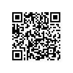 1111Y3002P20BQT QRCode