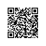 1111Y3005P60DQT QRCode