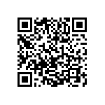 1111Y300P800DQT QRCode