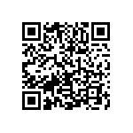 1111Y300P900CQT QRCode