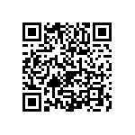 1111Y5000510FQT QRCode