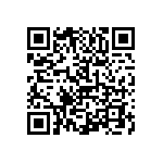 1111Y6303P90BQT QRCode