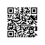 1111Y6309P10DQT QRCode