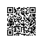 114-93-424-41-117000 QRCode