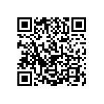 1206J2K00160KQT QRCode