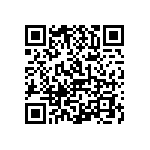 1206J2K03P90CQT QRCode