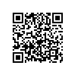 1206Y0250103KDR QRCode