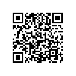 1206Y0504P30DQT QRCode