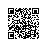 1206Y0633P90CQT QRCode