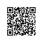 1206Y0636P80BQT QRCode