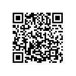 1206Y250P700HQT QRCode