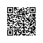 1206Y2K00100GQT QRCode