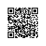 1206Y300P700HQT QRCode