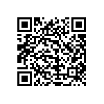 1206Y6300240KQT QRCode