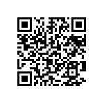 1210Y0500273KCR QRCode