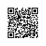 123-87-420-41-001101 QRCode