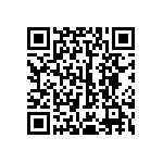 124-PRS13009-12 QRCode