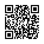 13-38 QRCode