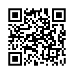 130126 QRCode