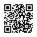 130228 QRCode