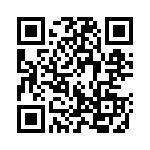 130417 QRCode