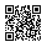 1313746-1 QRCode