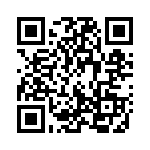 13162160 QRCode