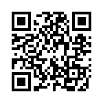 132169SS QRCode