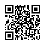 132171RP-RP QRCode
