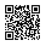 132172RP QRCode