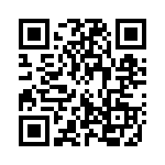 132220RP QRCode