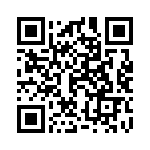 13282-18PG-321 QRCode