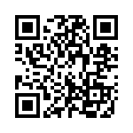 1330-38G QRCode