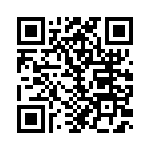 1337DCGI QRCode