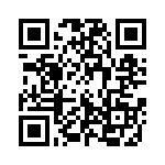 1339-2DVGI QRCode