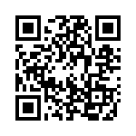 13AT96-T QRCode