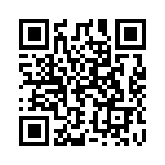 13FPR005E QRCode