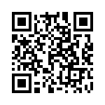 14110413001000 QRCode