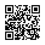 160138 QRCode