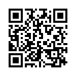 1607339 QRCode