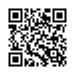 16111705206000 QRCode