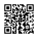 1613324 QRCode