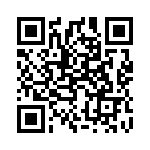 1613427 QRCode