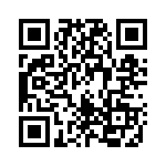 1613717 QRCode