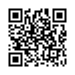 1619522 QRCode