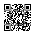 1673_166 QRCode